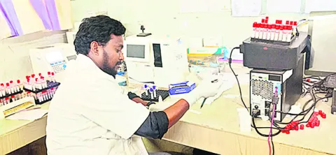 మలేరి