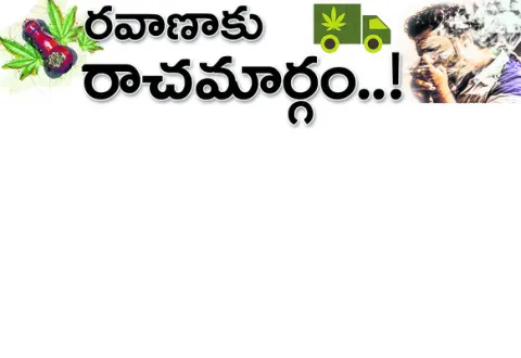 సినిమ