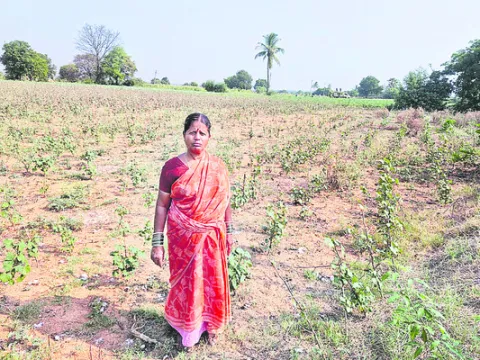ట్రిప