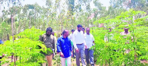 ‘భూ భారతి’తో వివాదాలకు చెక్‌