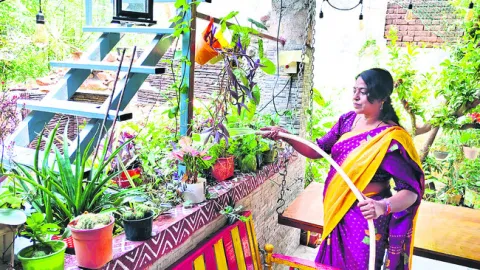 కిచెన్‌, టెర్రస్‌ గార్డెన్‌లను కాపాడుకోండి ఇలా.. 