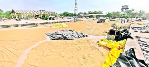 నిబంధ