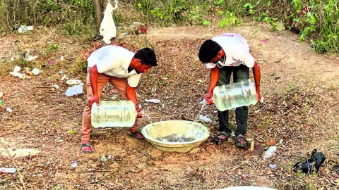 గుక్క
