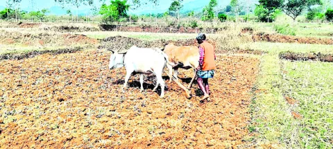సాయమేది బాబూ!