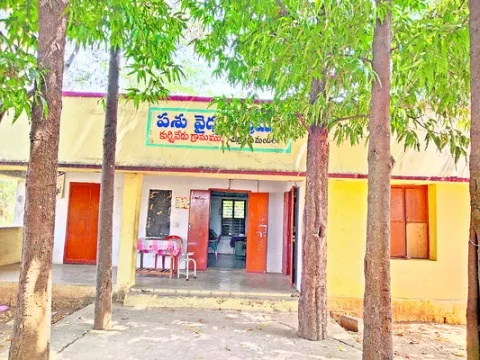 మూగవే
