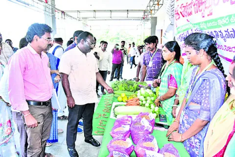 15 శా