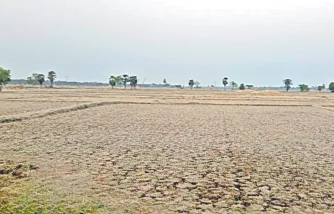 Doubt over Nalamvari Inn land auction