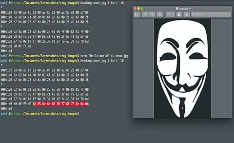 Hackers apply steganography tactics