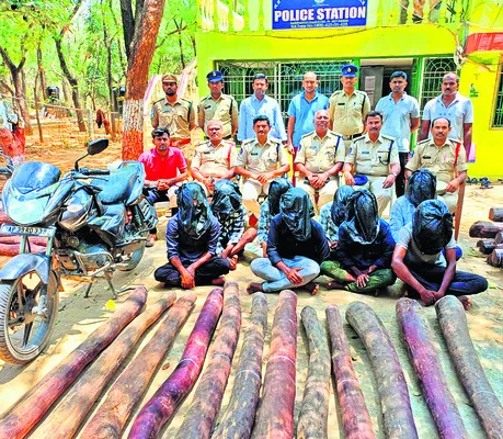ఎనిమిది మంది స్మగ్లర్లు అరెస్టు 