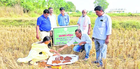 నేలలు నిస్సారం..!