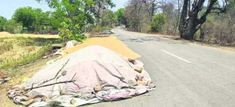 ధాన్యం కుప్పలు.. వాహనదారులకు తిప్పలు 