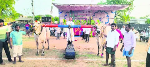 మఠంపల్లిలో ఎద్దుల పందేలు ప్రారంభం