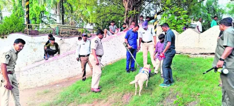 జిల్ల