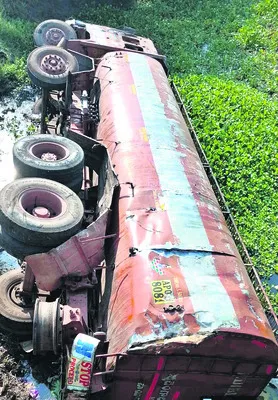 పామాయిల్‌ చోరీ పచ్చదొంగల పనేనా! 