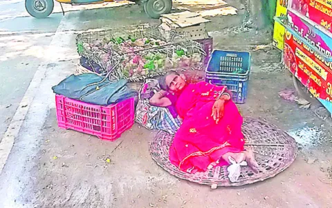 కూటి కోసం పోరాటం.. 