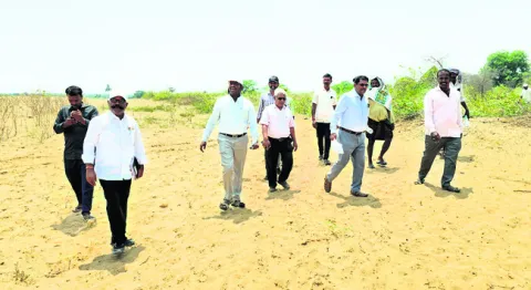 జోధ్‌పూర్‌ తరహాలో మొక్కల పెంపకం 