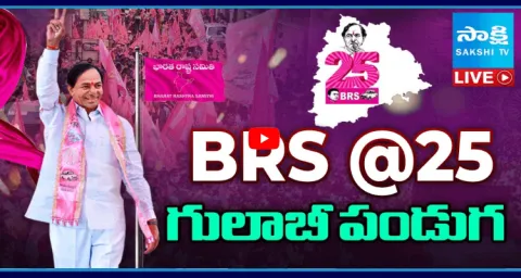 BRS Party Silver Jubilee Celebration In Warangal District