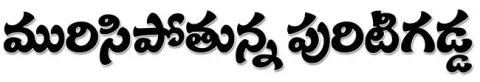 కేసీఆ