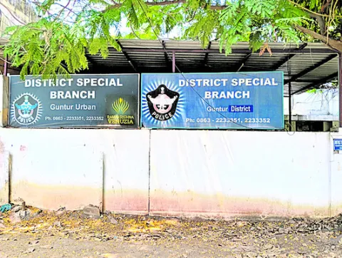  బాస్