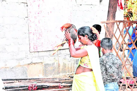 నూకాల