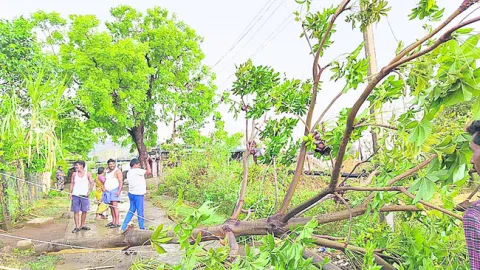 గాలిద