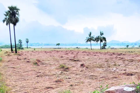 అకాల 