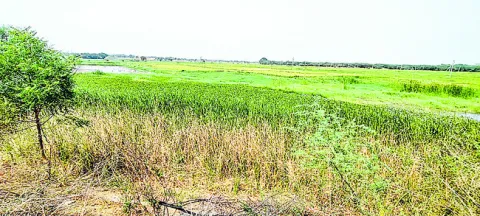 ఉగ్రవ