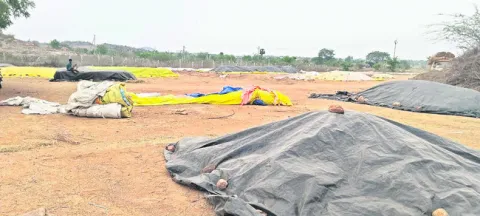 బోనస్‌ డబ్బుల కోసం కక్కుర్తి!