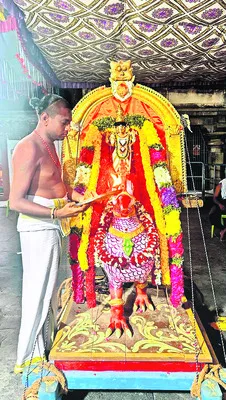 సింహ 