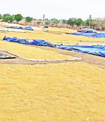 మే 5న అర్చక పోస్టులకు పరీక్ష

