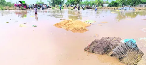 ఉరిమిన వర్షం.. పిడుగులా నష్టం!