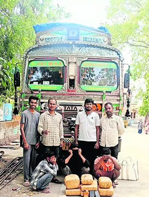 30 కిలోల గంజాయి పట్టివేత 