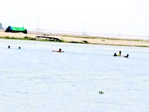 వేర్వ