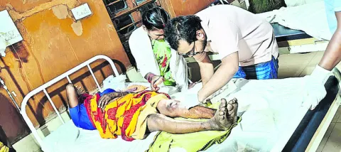 చిరుత