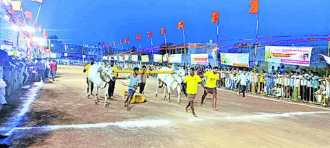 జత పళ్ల విభాగంలో విజేత బయ్యారం ఎడ్లు 