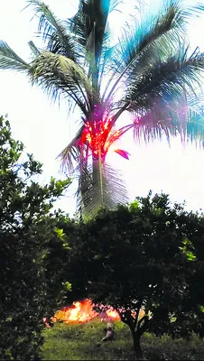 పలు మండలాల్లో వర్షం 