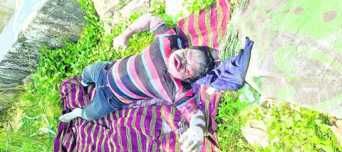 నీటిక