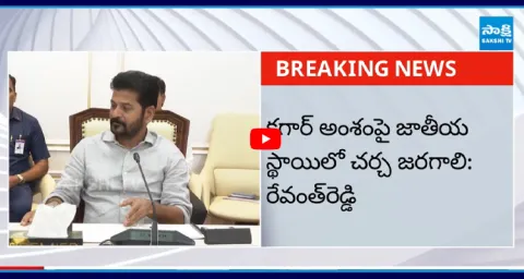 CM Revanth Key Comments on KCR Warangal Public Meeting Speech