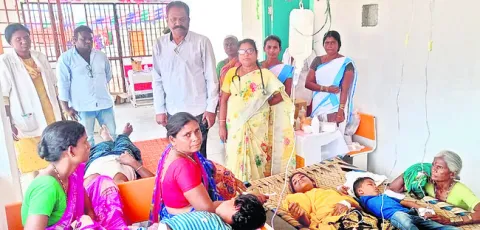 కలపరి