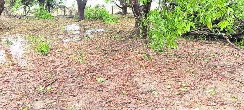మూడేళ