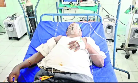 కలెక్