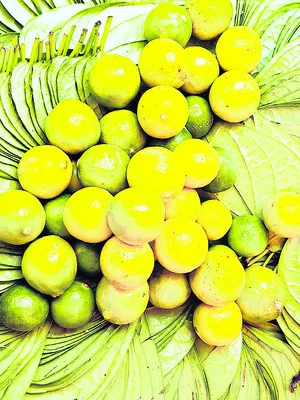 నిమ్మ ధరలకు రెక్కలు 
