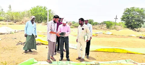 ధాన్యం కొనుగోళ్లు వేగవంతం చేయాలి