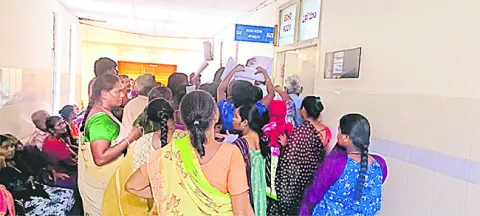 టూడీ.