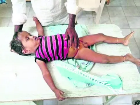 పాలిస