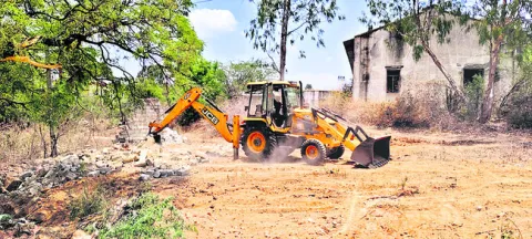 బసిని