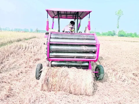 ముక్క