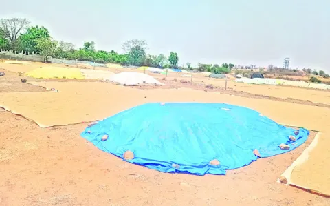 గన్నీ