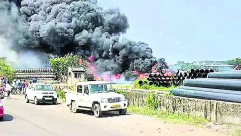 పారాద