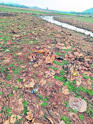 కాంగ్